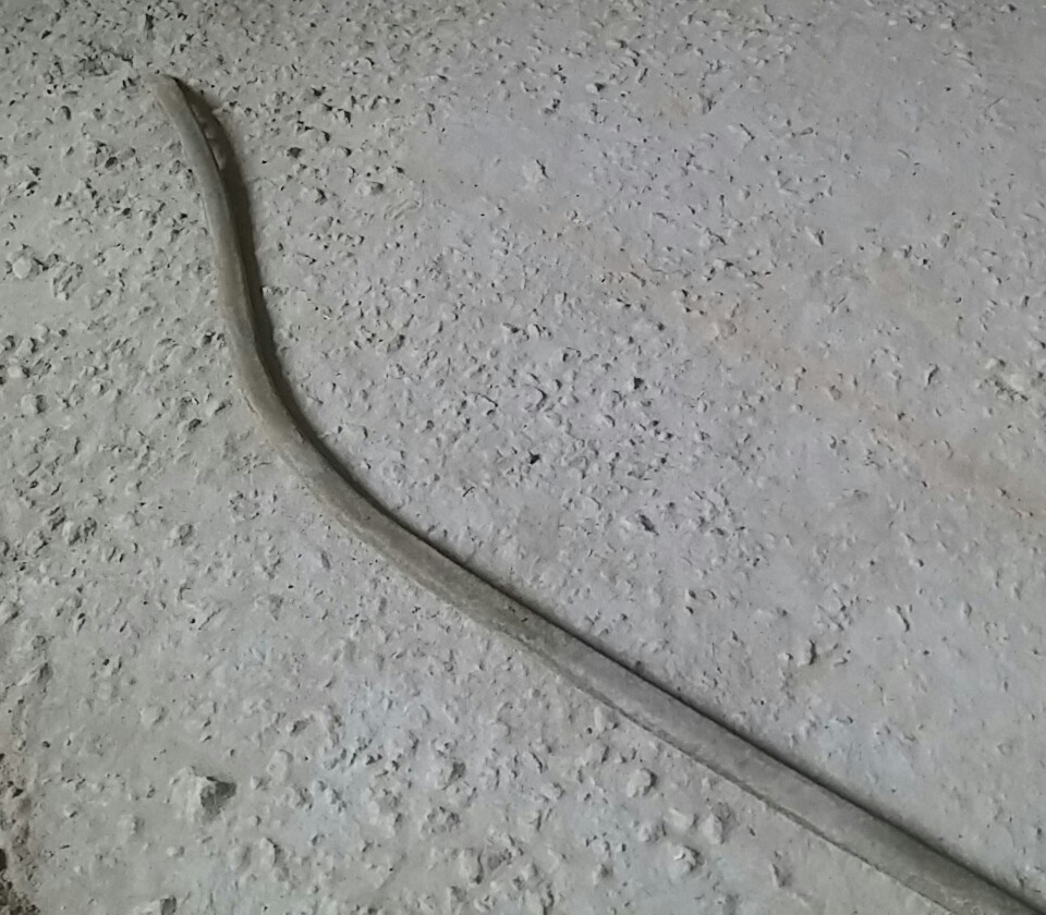 20160114_110411-1.jpg