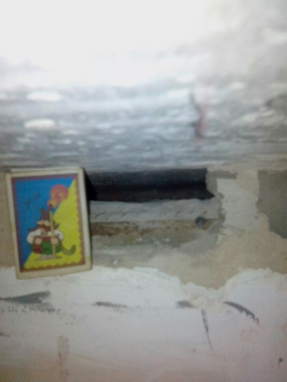 viber image2.jpg