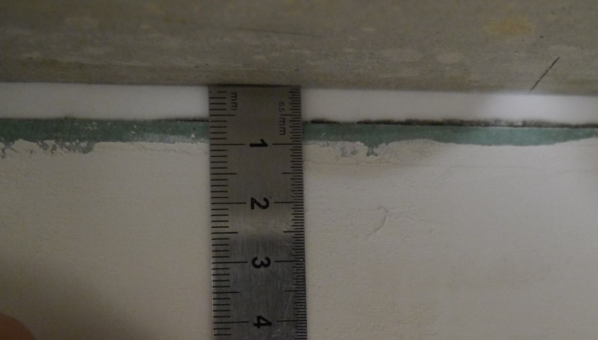 P1160319m.JPG