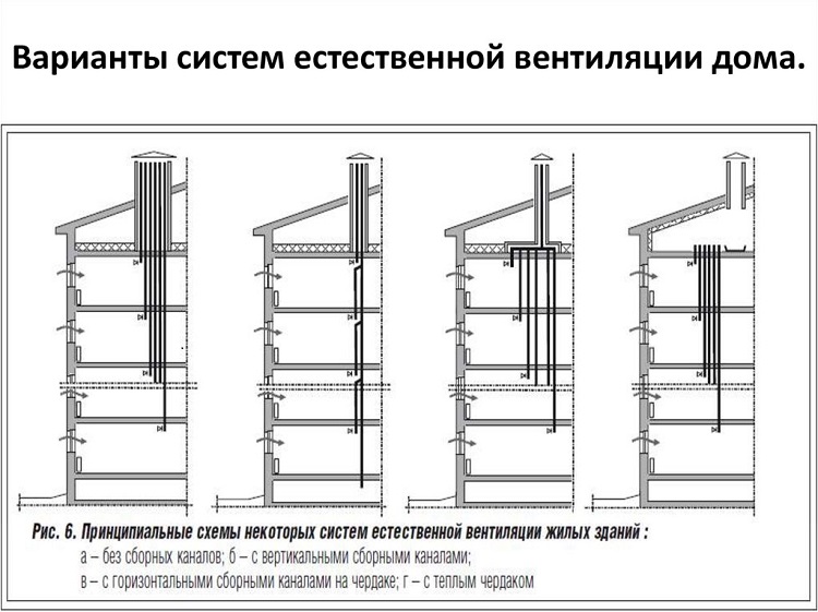 slide-9-750.jpg