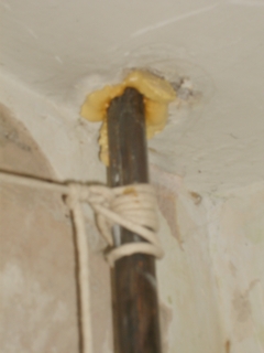 S6002926.jpg